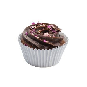 Chocolate Cupcake