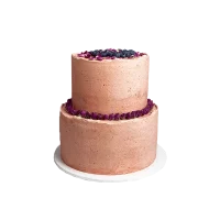 4 2 tier orange blueberry cake