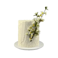 Vanilla rasbery cake
