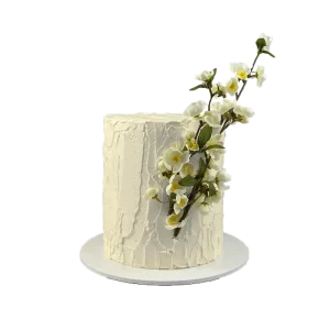 Vanilla rasbery cake