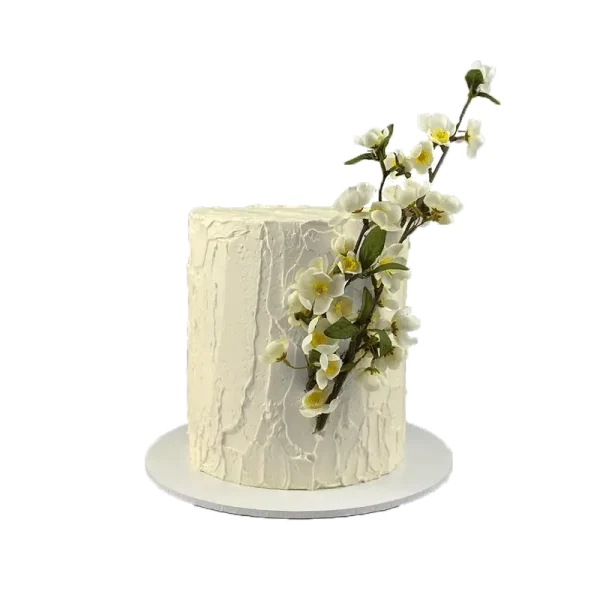 Vanilla rasbery cake