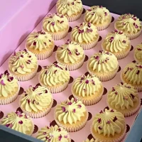 Mini Vanilla Cupcakes