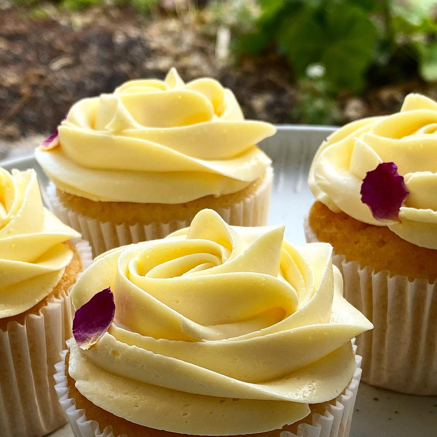 Saffron flavour cupcake